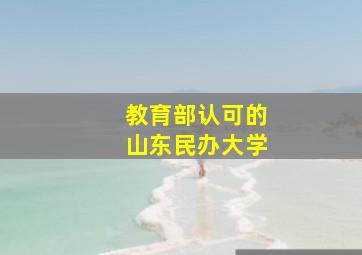 教育部认可的山东民办大学