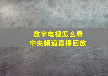 数字电视怎么看中央频道直播回放