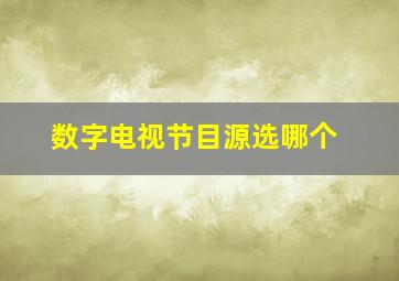 数字电视节目源选哪个