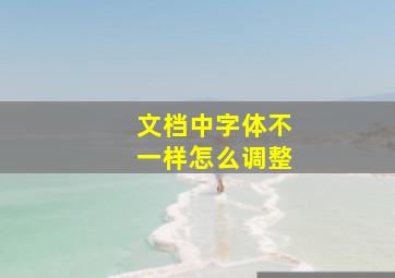 文档中字体不一样怎么调整