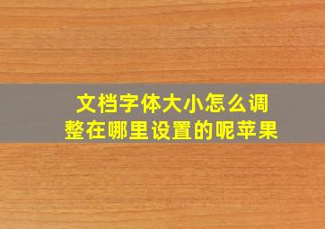 文档字体大小怎么调整在哪里设置的呢苹果