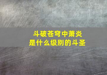 斗破苍穹中萧炎是什么级别的斗圣