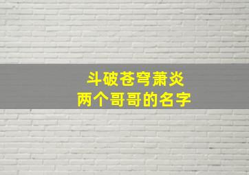 斗破苍穹萧炎两个哥哥的名字