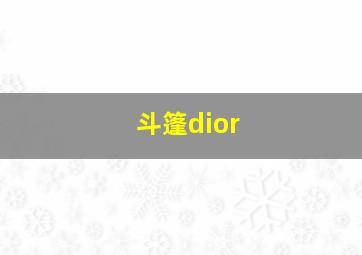 斗篷dior