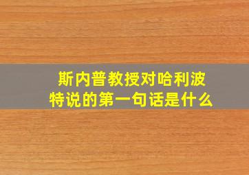 斯内普教授对哈利波特说的第一句话是什么