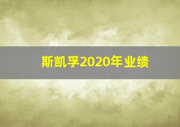 斯凯孚2020年业绩