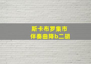 斯卡布罗集市伴奏曲降b二胡