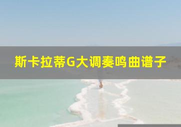 斯卡拉蒂G大调奏鸣曲谱子