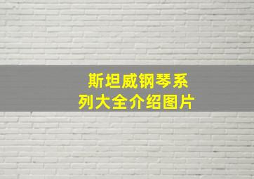 斯坦威钢琴系列大全介绍图片