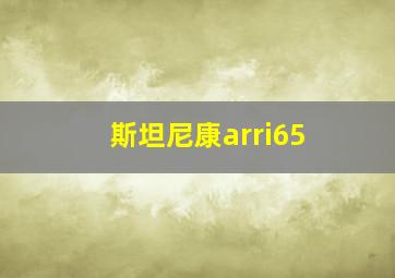 斯坦尼康arri65