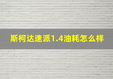 斯柯达速派1.4油耗怎么样