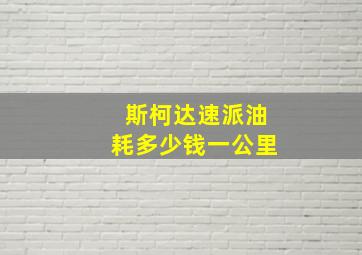 斯柯达速派油耗多少钱一公里