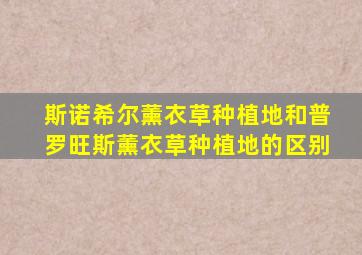 斯诺希尔薰衣草种植地和普罗旺斯薰衣草种植地的区别