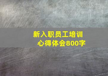 新入职员工培训心得体会800字