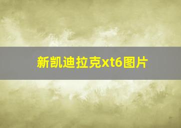 新凯迪拉克xt6图片