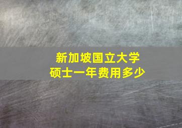 新加坡国立大学硕士一年费用多少