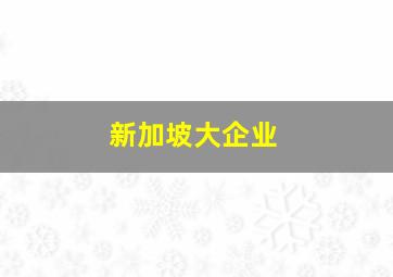 新加坡大企业