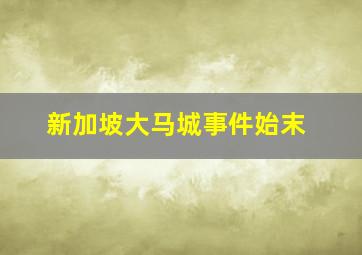 新加坡大马城事件始末