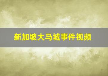 新加坡大马城事件视频