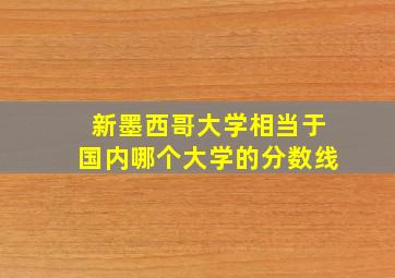 新墨西哥大学相当于国内哪个大学的分数线