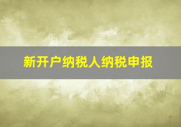 新开户纳税人纳税申报