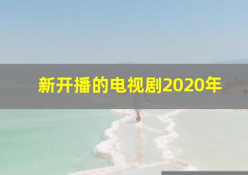 新开播的电视剧2020年