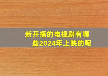 新开播的电视剧有哪些2024年上映的呢