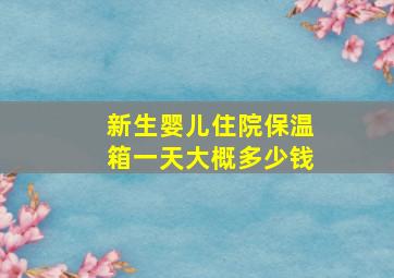 新生婴儿住院保温箱一天大概多少钱