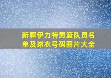 新疆伊力特男篮队员名单及球衣号码图片大全