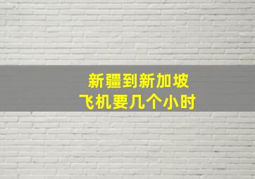 新疆到新加坡飞机要几个小时