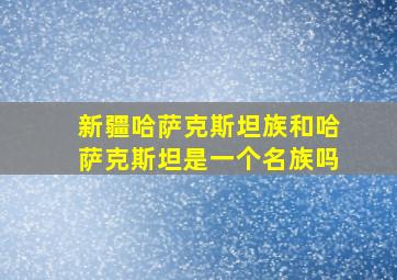 新疆哈萨克斯坦族和哈萨克斯坦是一个名族吗