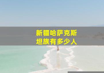 新疆哈萨克斯坦族有多少人