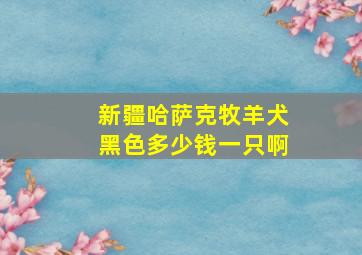 新疆哈萨克牧羊犬黑色多少钱一只啊