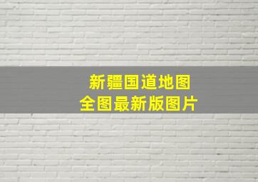 新疆国道地图全图最新版图片