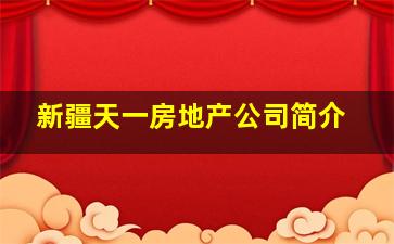 新疆天一房地产公司简介