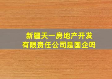 新疆天一房地产开发有限责任公司是国企吗