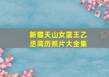 新疆天山女篮王乙丞简历照片大全集