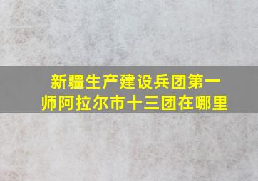 新疆生产建设兵团第一师阿拉尔市十三团在哪里