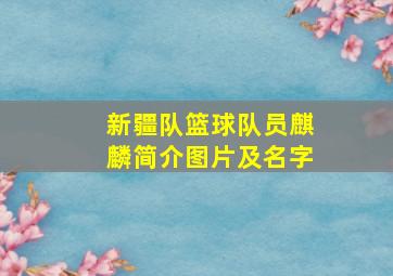 新疆队篮球队员麒麟简介图片及名字