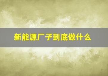 新能源厂子到底做什么