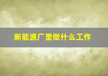 新能源厂里做什么工作