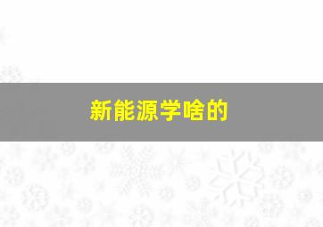 新能源学啥的