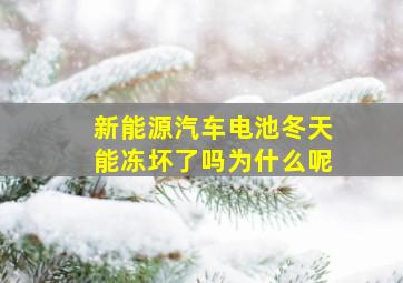 新能源汽车电池冬天能冻坏了吗为什么呢