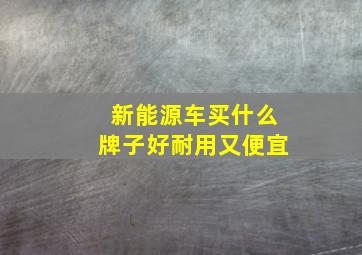 新能源车买什么牌子好耐用又便宜