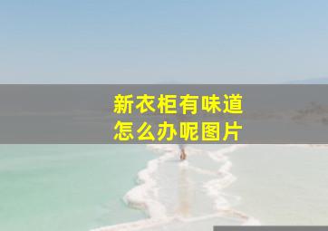 新衣柜有味道怎么办呢图片