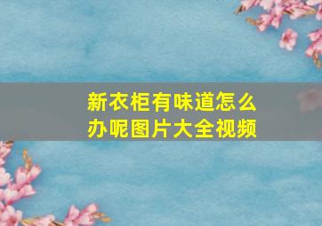 新衣柜有味道怎么办呢图片大全视频