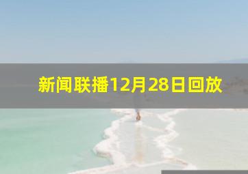 新闻联播12月28日回放