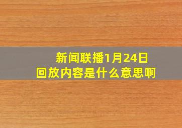 新闻联播1月24日回放内容是什么意思啊