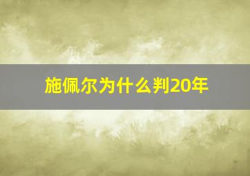 施佩尔为什么判20年