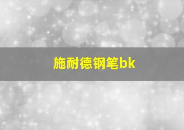 施耐德钢笔bk